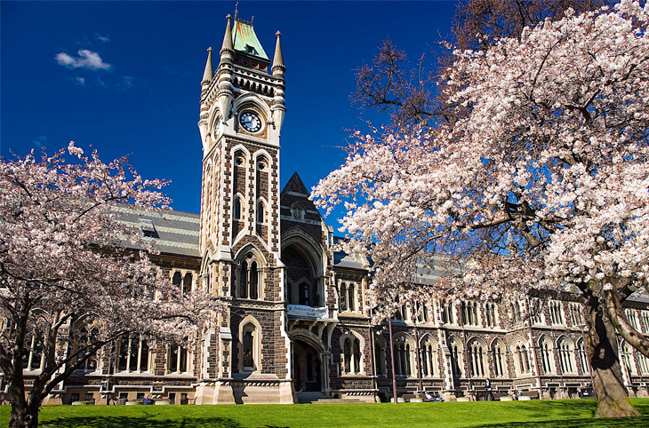 The cost of studying at a university in New Zealand